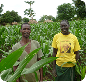 Couple in their crop field
